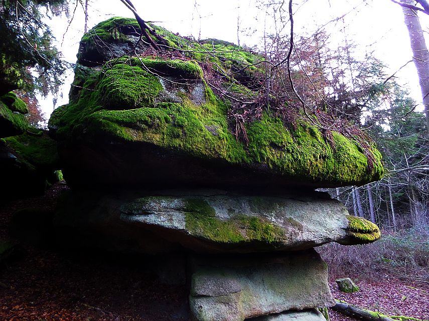 Waldviertel